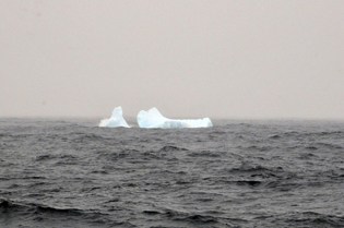 First Ice Berg Spotted! 