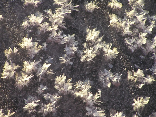 Fact of the Day: What are Ice Flowers?