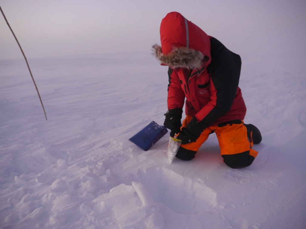 Snow sampling #1